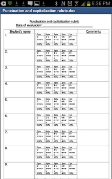 Preview of Punctuation and Capitalization Rubric