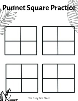 Preview of Punnet Square Practice Sheet • Teaching Biology • Genetics • Science