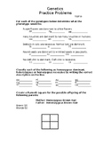 Punnett Square Basics: Worksheet