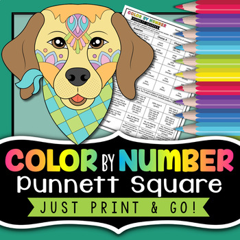 Preview of Punnett Square Color by Number - Genetics Practice Worksheet