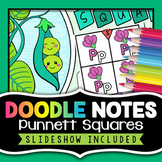 Punnett Square Doodle Notes Activity | Genetics Worksheet