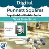 Punnett Square Examples I Gregor Mendel Genetics I Meiosis