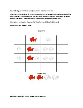 Preview of Punnett Square Fishes Extravaganza - Regular, Incomplete, and CoDominance