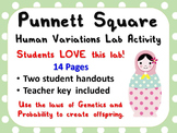 Punnett Square Human Variations Lab Activity