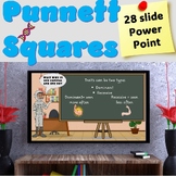 Punnett Square PowerPoint Presentation