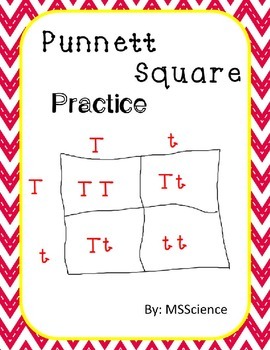 Punnett Square Practice by MSScience | Teachers Pay Teachers