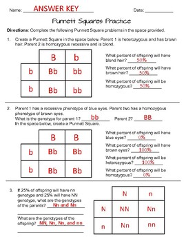 Punnett Square Practice Problems Worksheet Answers Worksheet Was Here