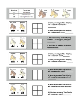 Punnett Square Practice: Codominance and Incomplete ...