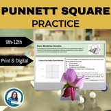 Punnett Square Practice Digital & Print Mendel Genetics