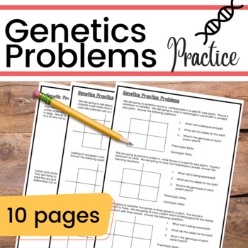 Punnett Square Practice Genetics Problems Worksheet Tpt