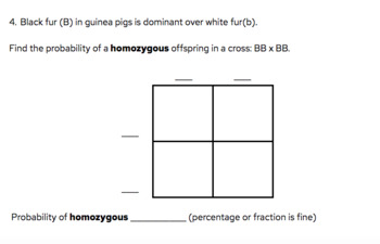 Preview of Punnett Square Practice Packet