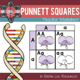 Punnett Squares Practice Worksheet