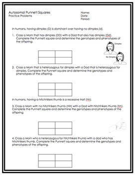 Punnett Square Practice Worksheets by Science Lessons That Rock | TpT