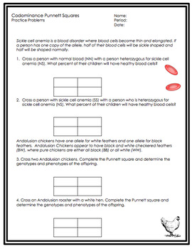 Punnett Square Practice Worksheets by Science Lessons That Rock | TpT