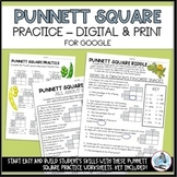 Punnett Square Practice Worksheets - Digital or Print