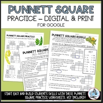 Preview of Punnett Square Practice Worksheets - Digital or Print