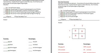 Punnett Square Practice Worksheets with Answer Keys by The Science Lady