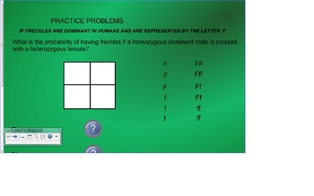Preview of Punnett Square Practice for the Smartboard
