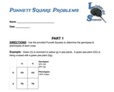 Punnett Square Problems (Beginner)- Monohybrid Crosses *An