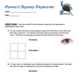 Punnett Square Problems (Intermediate)- Monohybrid Crosses