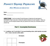 Punnett Square Problems (Monohybrid-Non-Mendelian) *Answer