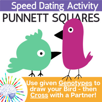 Preview of Punnett Square Speed Dating Activity: Cross your Birds! 