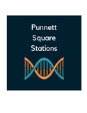 Punnett Square Stations