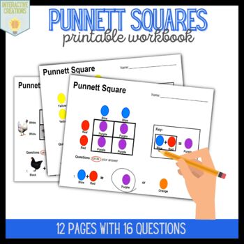 Preview of Punnett Square Workbook