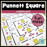 Punnett Square Worksheet 