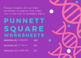 Punnett Square Worksheets