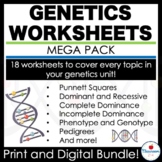 Punnett Square Worksheets and Other Genetics and Heredity Topics