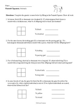 Punnett Squares Worksheets and Practice by Dr Dave's Science | TpT