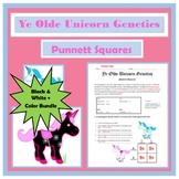 Punnett Squares Black & White/Color Bundle Punett Squares 