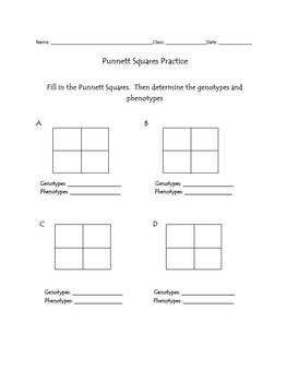 Punnett Squares Blank Templates by Vicki The Science Lady TPT