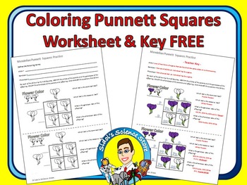 Preview of Punnett Squares Coloring Worksheet - Mendelian FREE