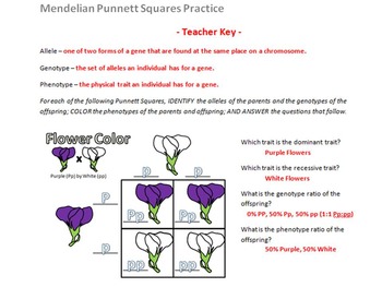 Punnett Squares Coloring Worksheet - Mendelian FREE by Sidol's Science