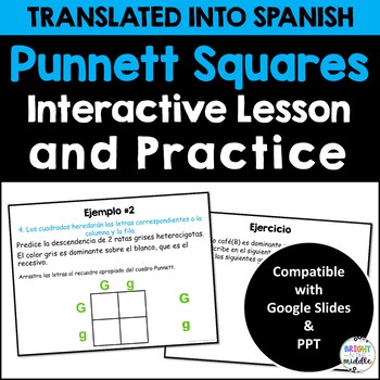 Preview of Punnett Squares Digital Interactive Lesson in SPANISH