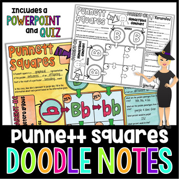 Preview of Punnett Squares Doodle Notes | Science Doodle Notes
