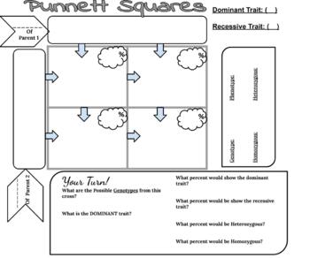 Preview of Punnett Squares Editable Practice! 