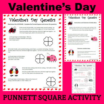 Preview of Punnett Squares FREE Genetics Valentine's Day Activity