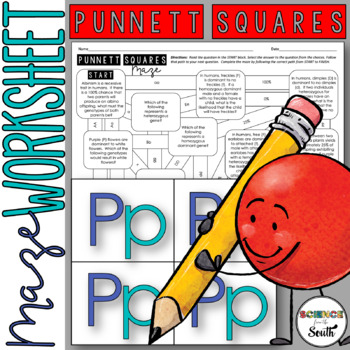 Preview of Punnett Squares Maze Worksheet Activity in Print & Digital with Differentiation