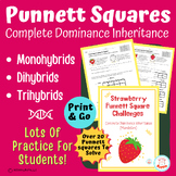 Punnett Squares: Monohybrid, Dihybrid, Trihybrid Complete 