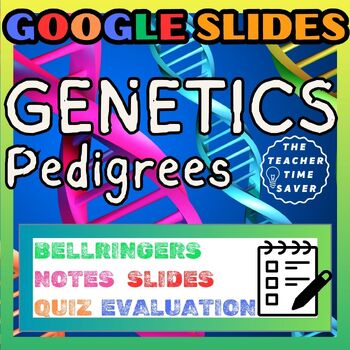 Preview of Punnett Squares Guided Reading Digital Lesson- Notes Google Slides and Activity