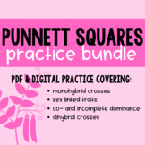 Punnett Squares - Practice Bundle