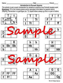 Punnett Squares Practice - Genetic Problems by Mrs G Classroom | TpT
