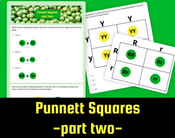 Preview of Punnett Squares Practice- Part 2: Google Form + NO PREP