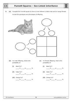 Punnett Squares - Sex-Linked Inheritance by Good Science Worksheets