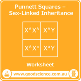 Punnett Squares – Sex-Linked Inheritance [Worksheet]