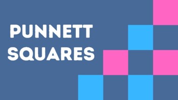 Preview of Punnett Squares Slides