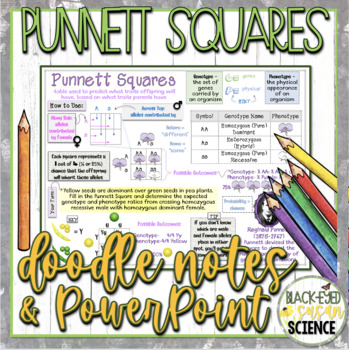 Preview of Punnett Squares Doodle Notes & Quiz + PowerPoint